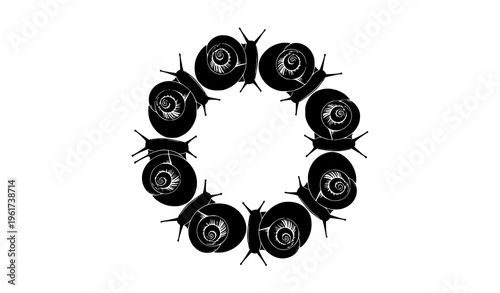 Circular Amphidromus snail icon rare shell mollusk vector