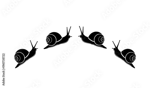 Arc layout Amphidromus snail icon rare mollusk vector set