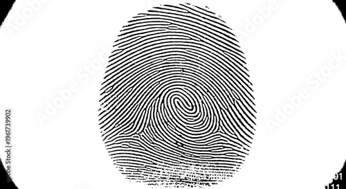 Fingerprint with black lines and spiral pattern on white background featuring biometric, identification, security with authentication and texture
