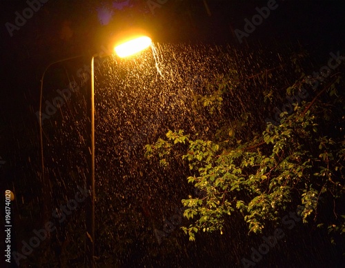 街灯 夜雨 残光 質感 陰影 輪郭 黄金色 核心 境界 均衡 存在 静謐 刹那 永遠 孤独 郷愁 浄化 蓄光 憧憬 芳醇