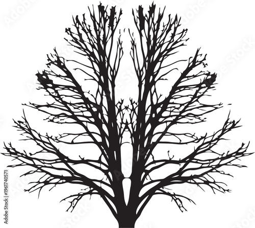 Bare tree, black silhouette, vector tree icon, minimalist design element
