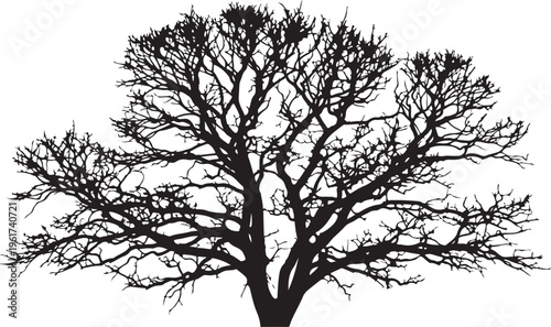 Bare tree silhouette, black tree icon, vector tree illustration, minimalist landscape design element
