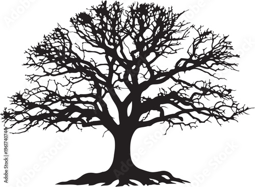 Bare tree silhouette, black tree icon, leafless tree vector, tree silhouette