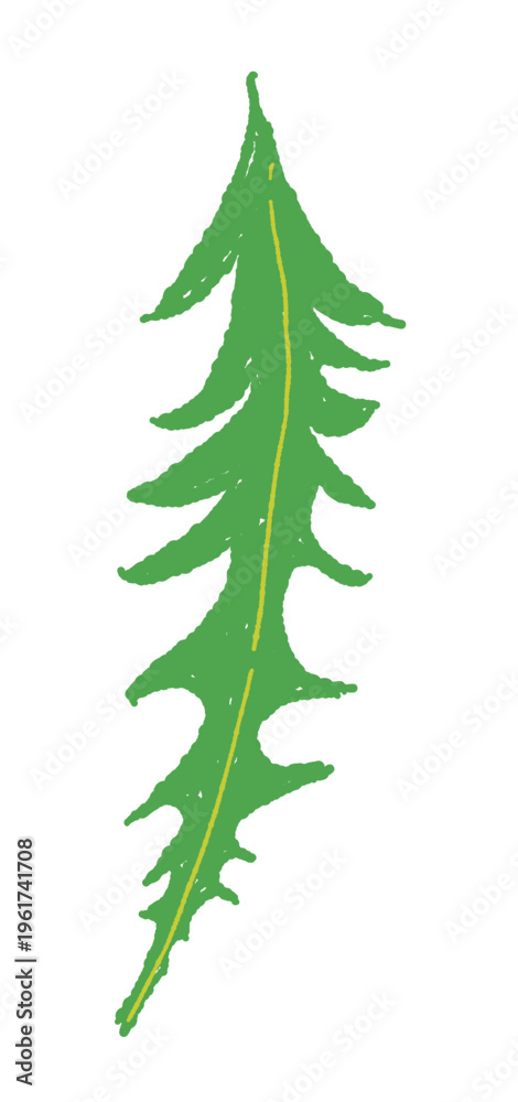 Obraz premium Curved Dandelion Leaf Illustration