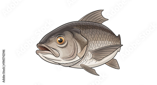 Gray Fish Illustration