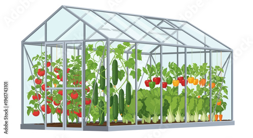 Greenhouse full of vegetables: tomatoes, cucumbers, peppers, and lettuce, isolated on white.