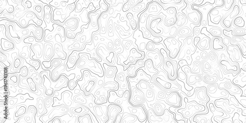 Topographic map illustration with wavy lines and contours on white background