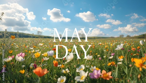 A vibrant field of colorful flowers under a bright blue sky with fluffy white clouds on a beautiful sunny day.