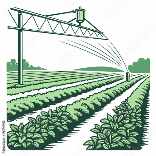 A large green field with rows of crops and a sprinkler system