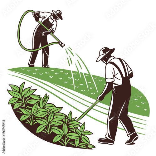 Farmers spraying plants with a hose