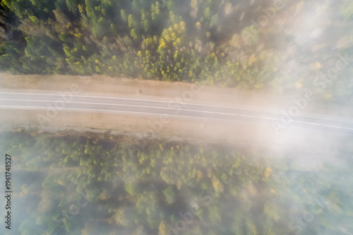 Картината върху платно Aerial top down view of a winding road emerges through a dense forest, partially obscured by soft morning mist