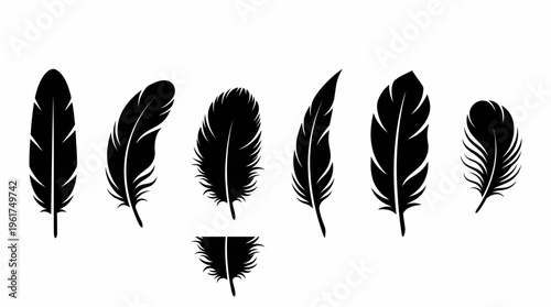 Collection of various black bird feathers in silhouette, isolated on a white background, showcasing different shapes and textures.