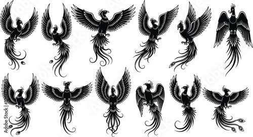Phoenix bird silhouettes vector set, mythical firebird illustration collection, spread wings fantasy creatures, black tribal tattoo style, decorative emblem design elements bundle