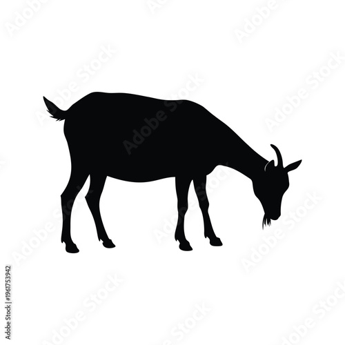 Black and white goat grazing on grass, silhouette vector illustration design, goat grazing silhouette vector illustration