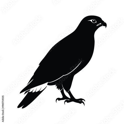 Black and white silhouette of a raptor bird standing on one leg, detailed vector illustration, hawk silhouette vector illustration