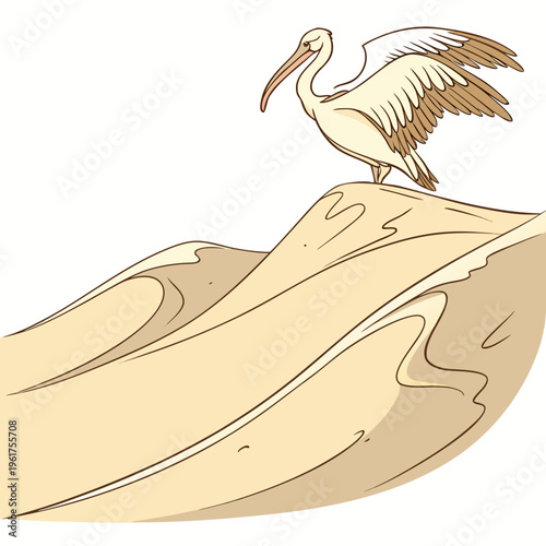 A white bird standing on a sand dune
