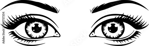 Human Eyes Line Art Illustration for Beauty, Makeup Design, Anatomy Study and Educational Use
