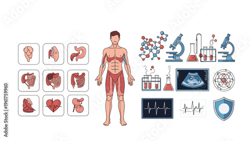Detailed medical illustration showing human anatomy parts along with scientific research equipment like microscopes and test tubes.