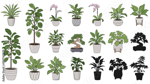 Collection of diverse indoor house plants in various pots including orchids and bonsai trees with some silhouettes.