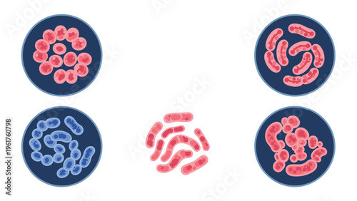 Scientific illustration featuring various types of bacteria inside circular petri dishes and floating in an open white space.