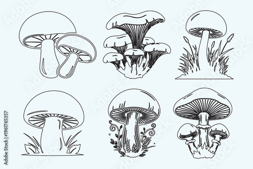 Collection of six diverse mushroom illustrations in clean outline style for artistic graphic design