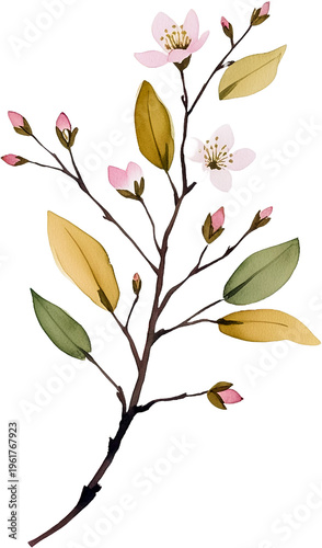 Colorful Flowering Branch with Leaves Illustration