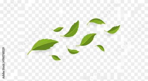 Group of realistic green mint leaves flying and fluttering in the wind motion isolated on transparent background, botanical vector illustration of fresh foliage blowing in breeze.