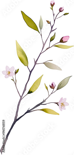 Delicate Branch with Pink Flowers and Green Leaves