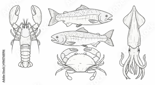 Black and white line art collection featuring detailed sketches of a lobster, two trout fish, a crab, and a squid, isolated on a white background for culinary and marine design.