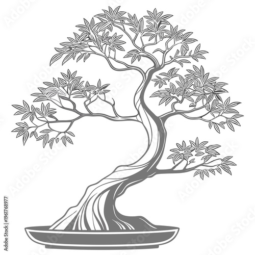 A bonsai tree in a pot with many leaves