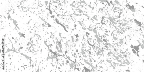 A detailed monochrome texture resembling cracked earth or distressed stone surfaces is prominently displayed ideal for digital design on transparent background high-quality professional