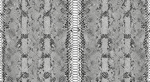 Seamless monochrome snake skin texture pattern featuring detailed black and white reptilian scales and a central spinal ridge, suitable for fashion textile design and background.