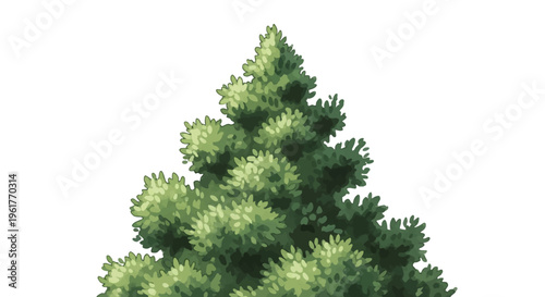 Watercolor illustration of a green evergreen tree top isolated on white background, featuring detailed layered foliage of a spruce or pine tree in a hand-painted digital style.