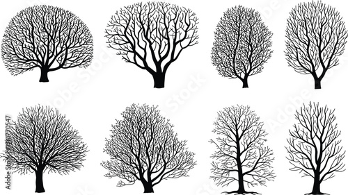 Silhouette illustration of eight leafless deciduous trees with diverse branching patterns, winter forest artwork showing botanical diversity, natural shapes, seasonal design inspiration