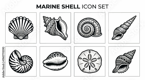 Vector icons of marine shells including scallop, conch, spiral, turret, nautilus, cowrie, and sand dollar for ocean design, coastal education, and artistic illustration themes