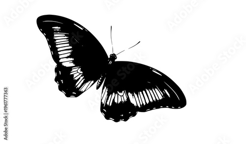 Realistic black butterfly watercolor art illustration isolated on white background nature design