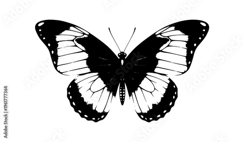 Black butterfly watercolor illustration isolated on white background elegant monochrome insect art