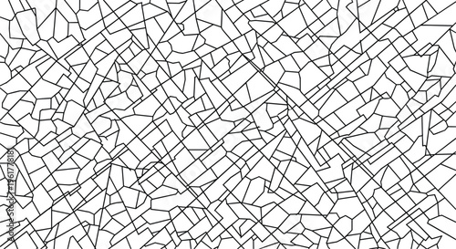 Complex network of fine black lines creates an intricate web resembling a map or a cracked surface on a plain white background.