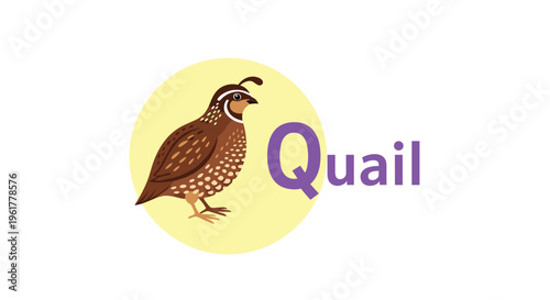 Brown and white spotted quail bird standing inside a yellow circle next to the word Quail in purple for vocabulary learning.