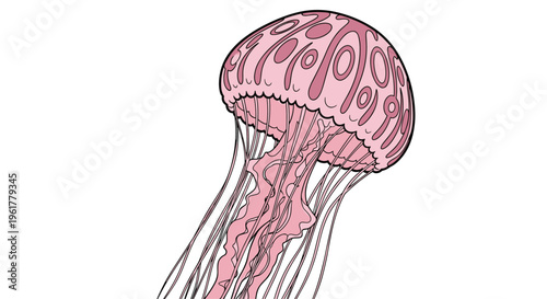 Beautiful pink jellyfish with a highly detailed patterned bell and long flowing tentacles swimming in a deep blue marine environment.