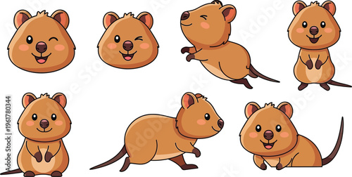 Quokka emoticon faces and body cartoon characters