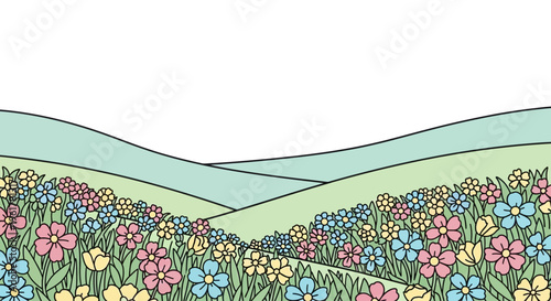 Colorful flowers in a field.