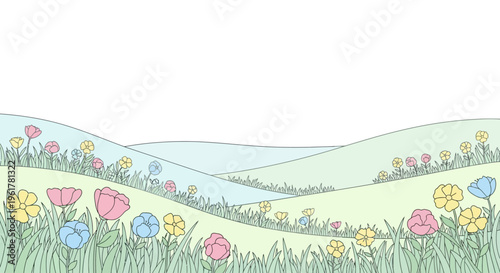 Colorful flowers in a field.