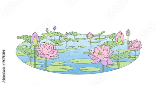 Pink lotus flowers in water pond.
