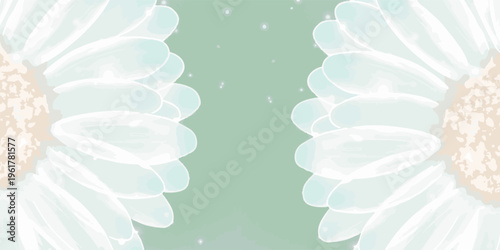 Close up of two white daisy flowers with light green background.