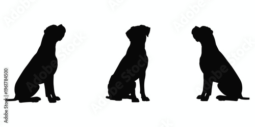 Three black silhouettes of boxer dogs sitting and looking to the side Keywords: dog, boxer, silhouette, animal, pet, canine