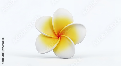 Delicate plumeria flower with white and yellow petals on a clean white background