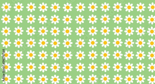 Simple and charming seamless pattern of white daisy flowers with yellow centers arranged in neat rows on a green background.