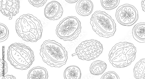 A black and white seamless pattern background of monk fruit showing whole and sliced versions in a detailed line art sketch style.
