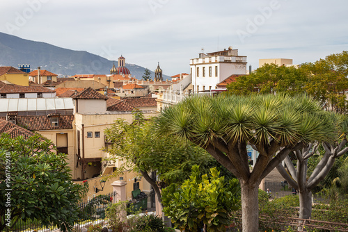 The town of La Orotava on the island of Tenerife